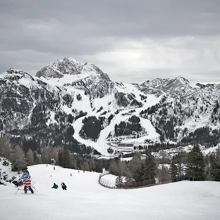 Dualhaus Presseggersee