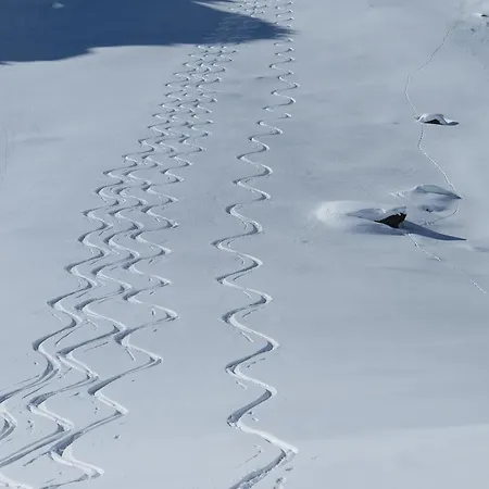 Dualhaus * Presseggersee