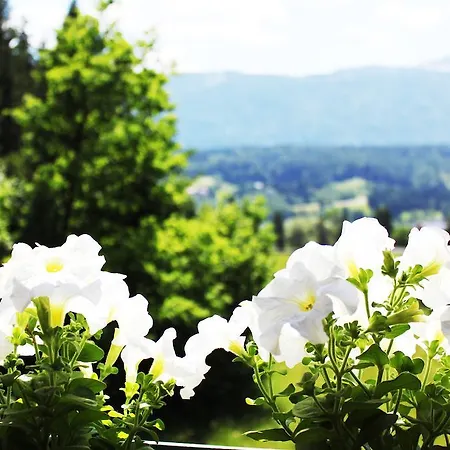 Dualhaus Presseggersee