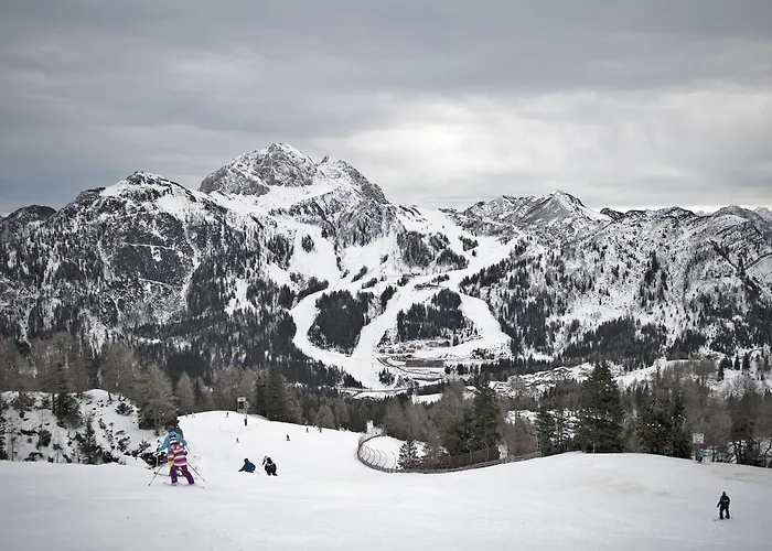 Dualhaus بريسيغ