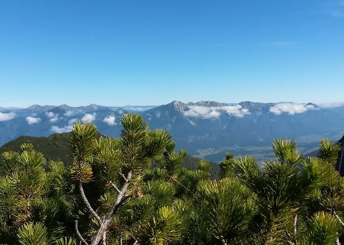 Dualhaus * بريسيغ