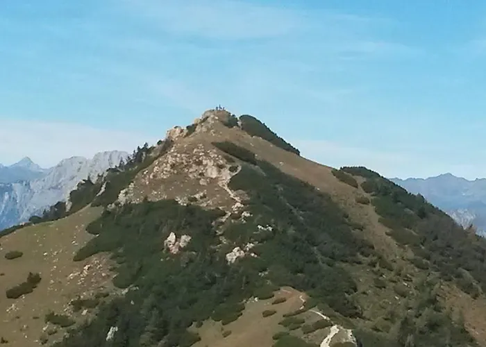 Dualhaus شقة بريسيغ