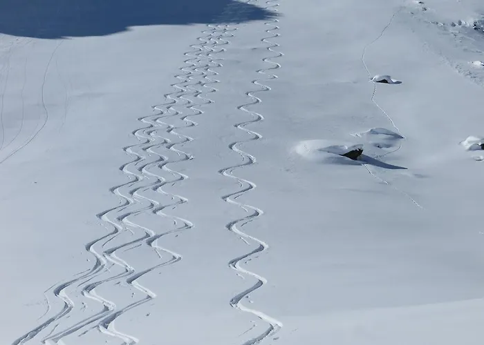 Dualhaus * بريسيغ