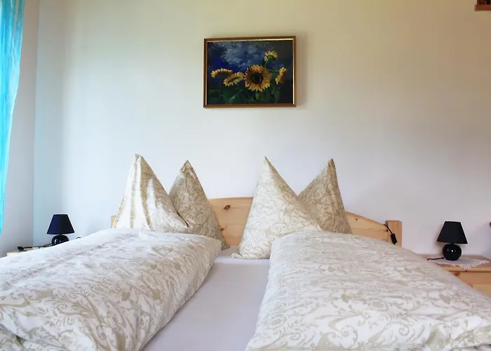 Dualhaus بريسيغ