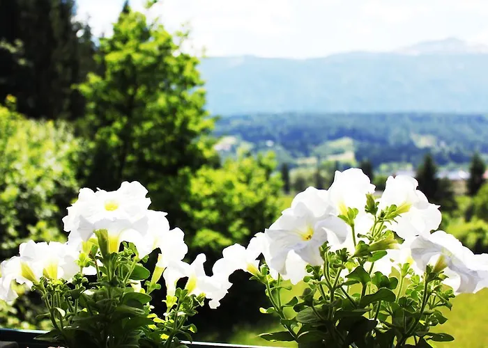 Dualhaus بريسيغ